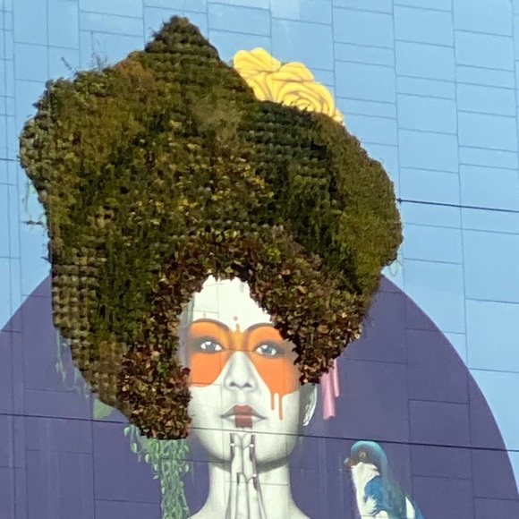 Meet your Posher, Max - Picture 1 of 1